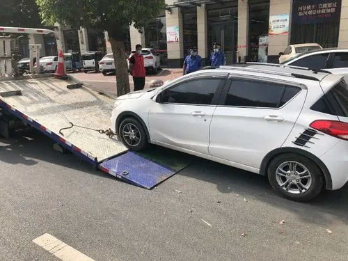 漯河市啟動機動車違停拖移執法，數字化后臺管理系統提升執法效能